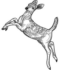 a drawing of a deer jumping in the air with its front legs spread out and it's eyes open