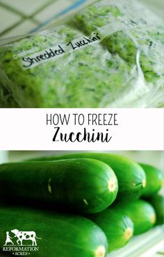 how to freeze zucchini in the refrigerator