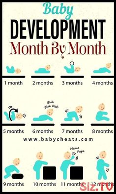 the baby development chart for month by month