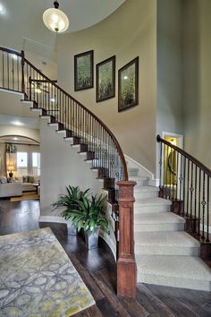 there is a staircase in the house with pictures on the wall and potted plant next to it