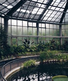 the inside of a greenhouse filled with lots of plants