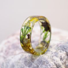 a ring made out of glass sitting on top of a rock next to a plant