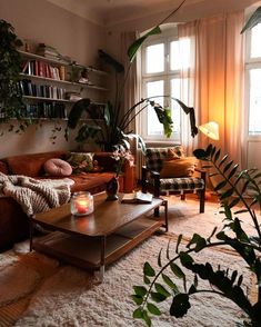 a living room filled with furniture and lots of plants on the windows sills