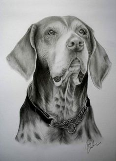 a black and white drawing of a dog