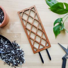 some plants and scissors on a table with wood cuttings next to eachother