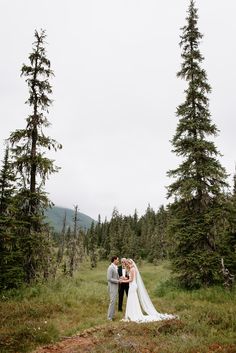 a bride and groom stand in the middle of a field surrounded by tall pine trees