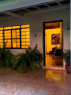 a house with two plants in front of it and the light coming through the windows