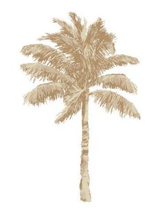 a drawing of a palm tree on a white background