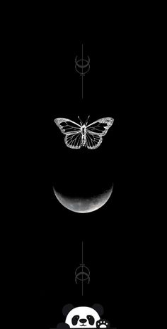 two butterflies flying over the moon and skull