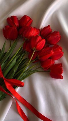 red tulips tied together on a white sheet