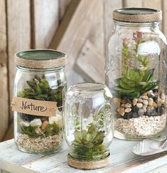 three mason jars with plants and rocks in them on a wooden table next to a sign that says nature