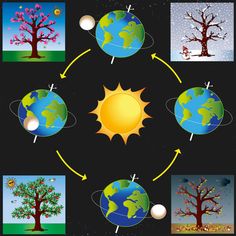 an image of the earth's four seasons