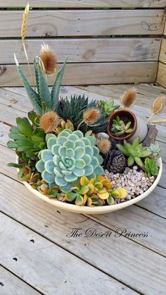 an arrangement of succulents and other plants in a bowl on a deck