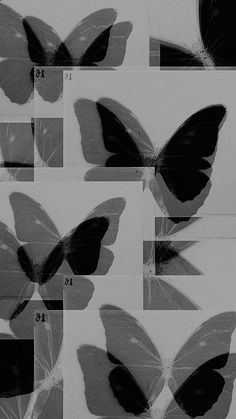 six different images of black and white butterflies with numbers in each one's wings