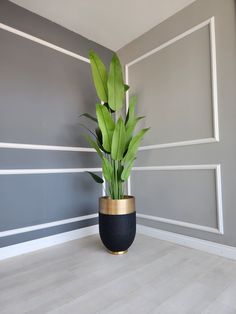 a potted plant sitting on top of a wooden floor next to a gray wall