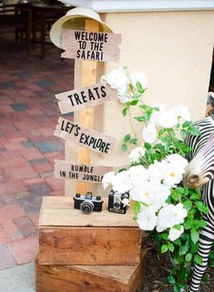 a zebra standing next to a wooden sign with white flowers in it's mouth