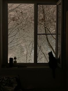 a cat sitting on a window sill looking out at the trees outside in the snow