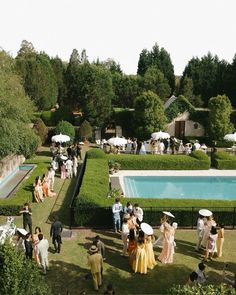 a group of people standing in front of a pool surrounded by lush green trees and bushes