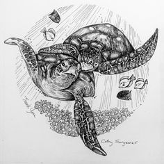 a black and white drawing of a turtle swimming in the ocean with other sea creatures around it