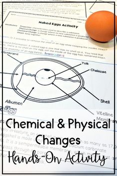 an egg sitting on top of a sheet of paper with the words chemical and physical changes hand - on activity