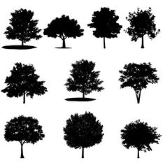 the silhouettes of different trees on a white background