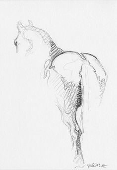 a pencil drawing of a horse standing on its hind legs and looking down at the ground