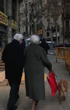 an older couple walking down the street with their dog on a leash and carrying shopping bags