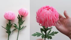 two pictures one with pink flowers and the other with green leaves