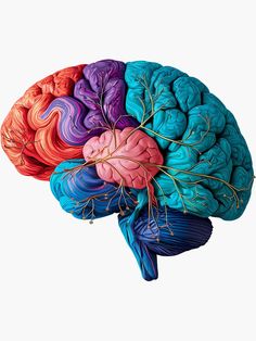 an image of the human brain with different colored sections and branches on it's side