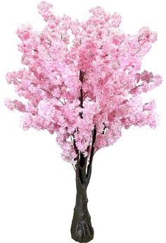 a pink tree is in a vase on a white background with no people around it