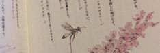 an open book with chinese writing and flowers on the pages, in front of a dragonfly