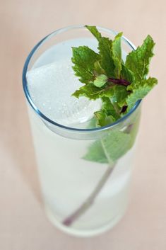 a glass filled with ice and green leaves