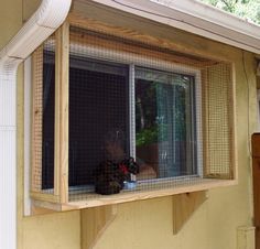 an image of a cat sitting in the window