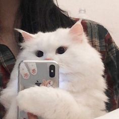 a white cat is taking a selfie with its cell phone in it's hand