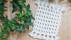 a white crocheted doily next to a green plant on a wooden surface