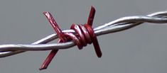 a close up view of a barbed wire