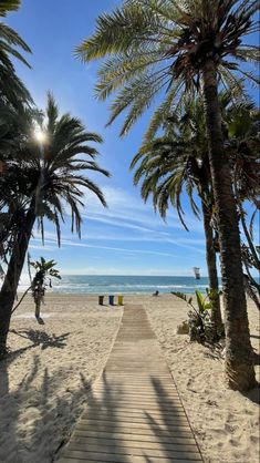 a wooden walkway leading to the beach with palm trees