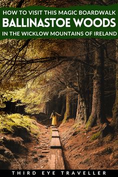 the cover of how to visit this magic boardwalk in the wicklow mountains of ireland