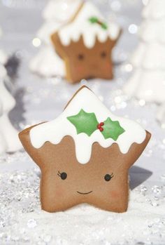 a close up of a star shaped cookie on a table