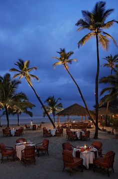 an outdoor dining area with palm trees and tables set up for dinner on the beach