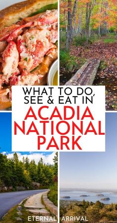 what to do see and eat in acadia national park