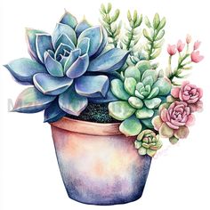 a watercolor painting of succulents in a pot