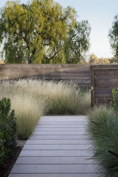 an outdoor walkway surrounded by plants and trees