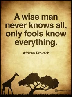 a wise man never knows all, only fools know everything african prove quote on giraffe