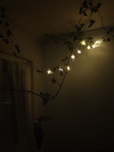 some lights are on in the corner of a room with a plant growing out of it