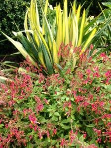 red and yellow flowers are growing in the grass next to some bushes with green leaves