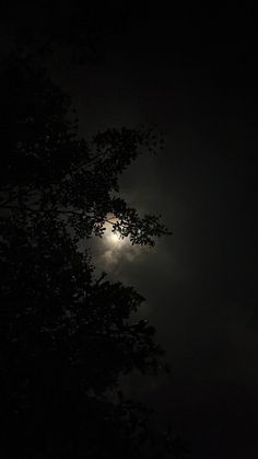 the moon shines brightly in the dark night sky above some trees and leaves on a cloudy day