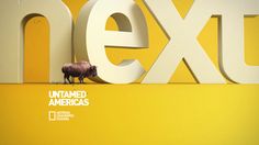 an elephant standing in front of the letters next to each other on a yellow and white background