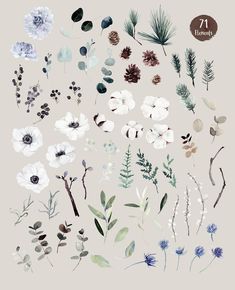 an assortment of flowers and plants painted in watercolor