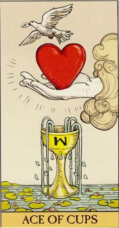 the ace of cups tarot card with two hands holding a red heart and a golden cup